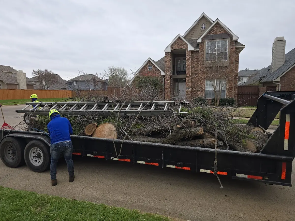 Expert Tree Removal with proper safety equipment in Hughesville